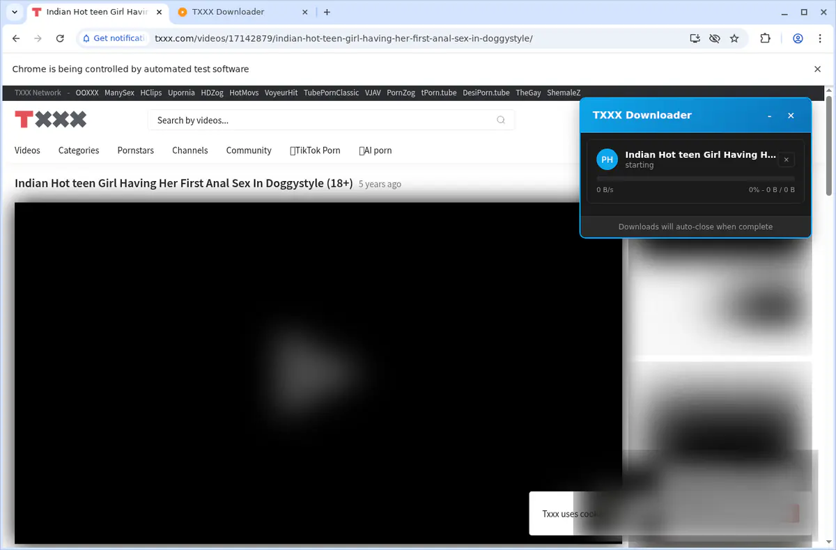 TXXX Video Downloader browser extension screenshot 3