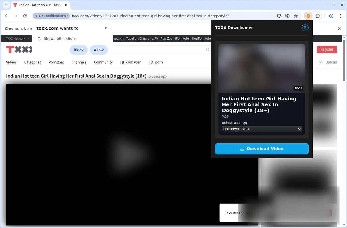 TXXX Video Downloader browser extension screenshot 4